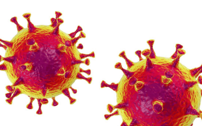 Alle Informationen des BLSV zur Corona-Pandemie auf einen Blick